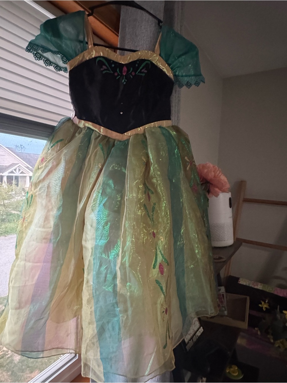 Size 5/6 Princess Anna Frozen dress